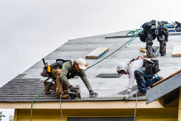 Professional Roofing technician working in Ollie, IA